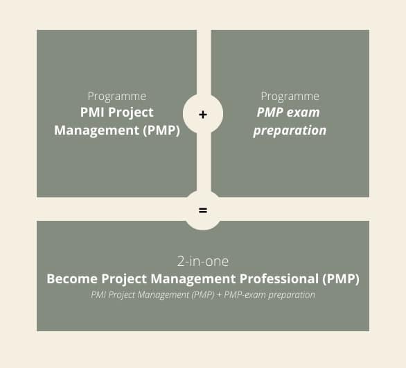 PMP and PMI programmes